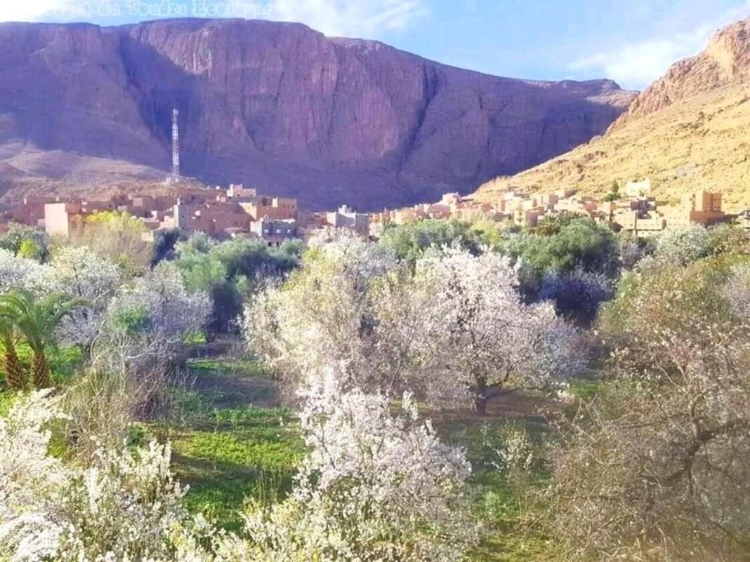 Dar Almanadir Todra Pansiyon Tinghir Dış mekan fotoğraf