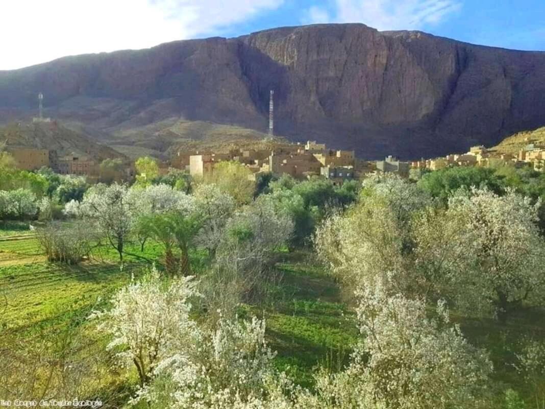 Dar Almanadir Todra Pansiyon Tinghir Dış mekan fotoğraf